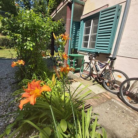 Garden Budha Relax Apartman, Parking, Bbq, Terrace Siofok Exterior photo