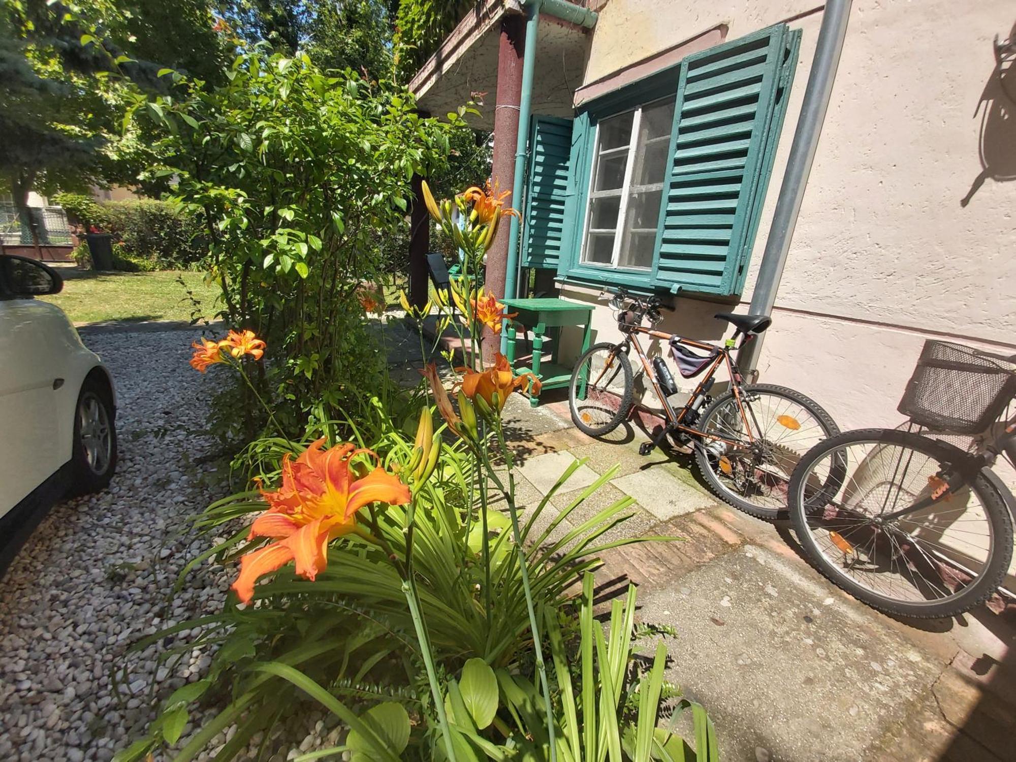 Garden Budha Relax Apartman, Parking, Bbq, Terrace Siofok Exterior photo