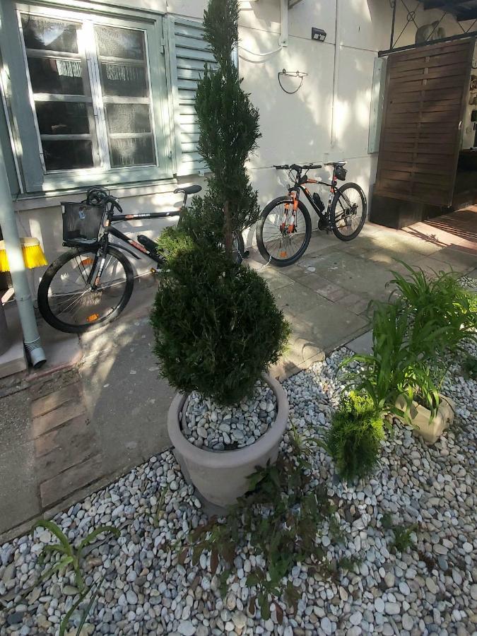 Garden Budha Relax Apartman, Parking, Bbq, Terrace Siofok Exterior photo