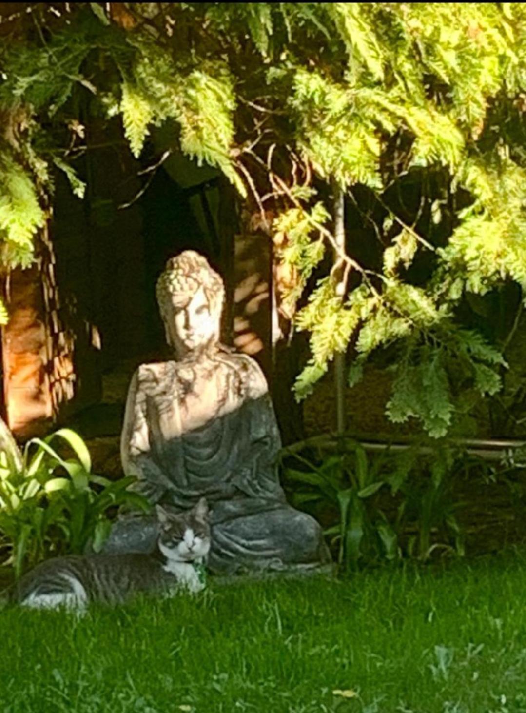 Garden Budha Relax Apartman, Parking, Bbq, Terrace Siofok Exterior photo