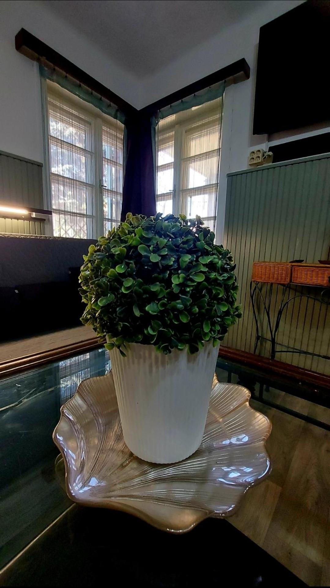 Garden Budha Relax Apartman, Parking, Bbq, Terrace Siofok Exterior photo