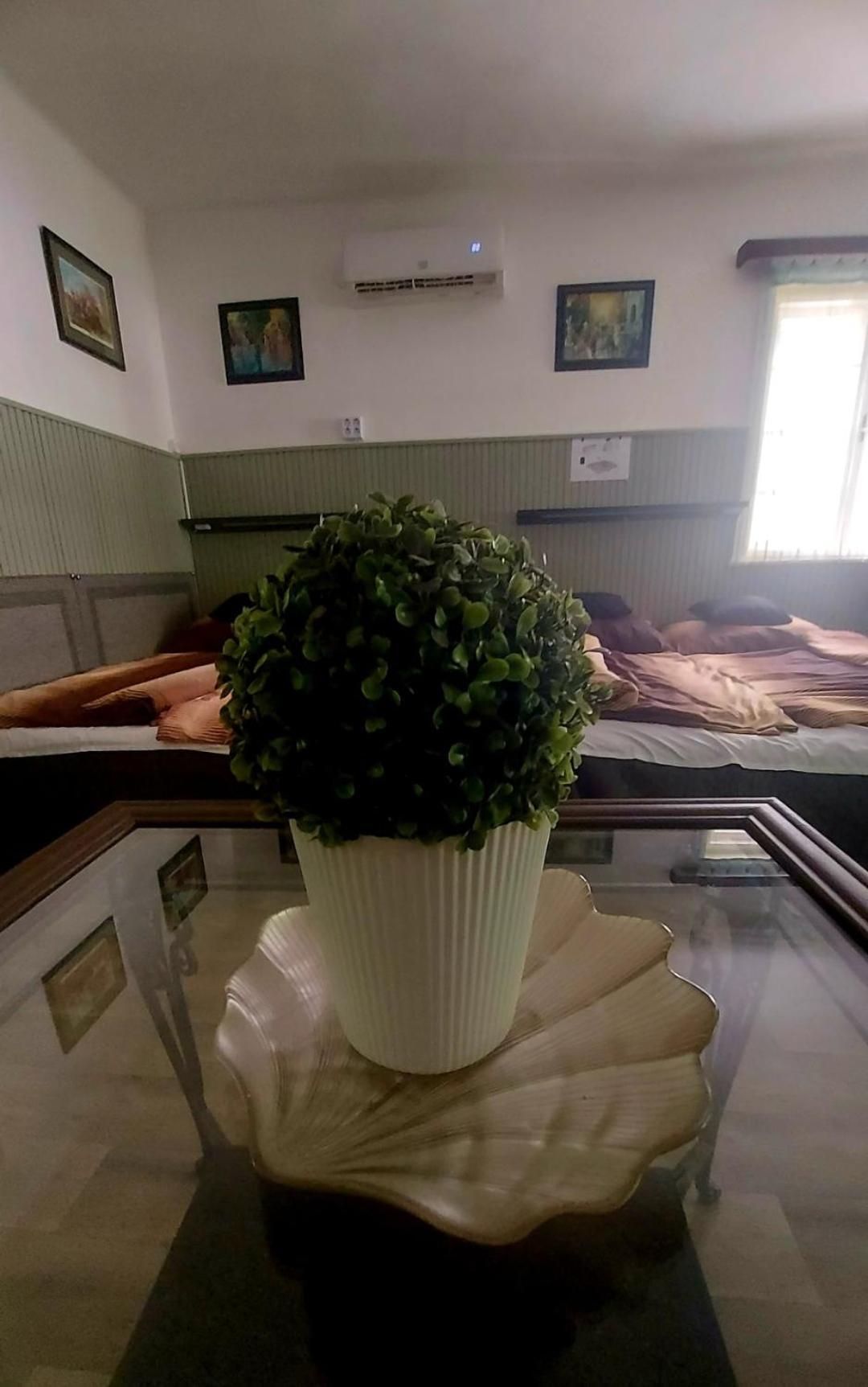 Garden Budha Relax Apartman, Parking, Bbq, Terrace Siofok Exterior photo
